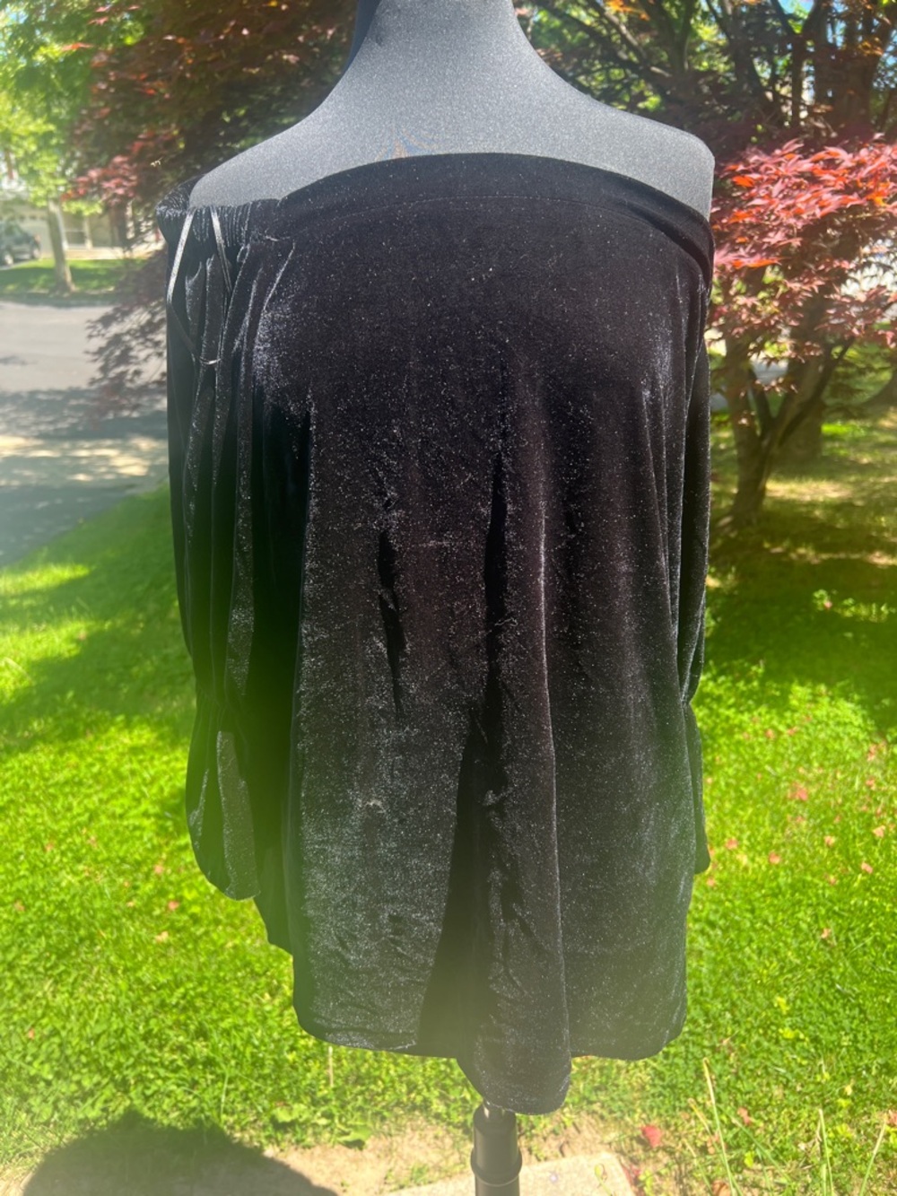 Katherine Barclay Brown Velvet Top with Gold Accent